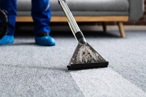 Carpet & Upholstery